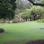 Roma St Parklands