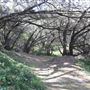 Main Beach - Phillip Park