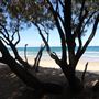 Main Beach - Phillip Park