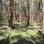 Gold Coast - Coombabah Lakelands