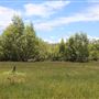 Coombabah Lakelands Conservation Area - Open Field & Forest