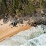 Noosa National Park