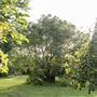 Montville - Misty View Cottages