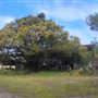 Backlot 97 Kerkin Road Nth