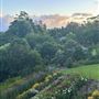 Tamborine Mountain Flower Farm