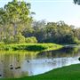 Tondoon Botanic Gardens Gladstone