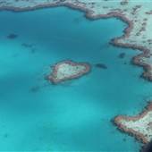 Hardy Reef