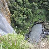 Purling Brook Falls - Springbrook National Park