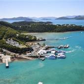 Shute Harbour