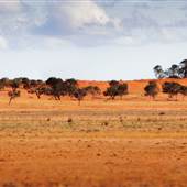 Windorah