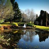 Cedar Creek Estate Winery and Vineyard