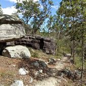Karawatha Forest Park - Overview