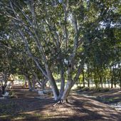 Johnston Park