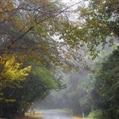 Mt Glorious