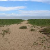 Wangetti Beach
