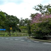 Anzac Park