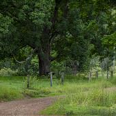 Pocket Retreats