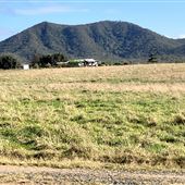 Mt Spencer Station