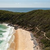 Noosa National Park