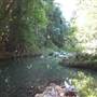 Austinville Rock Pools