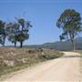 Rural Country Valley Scenic Back Road
