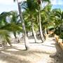 Hamilton Island - Beach Club