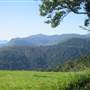 Mountain Road with Views