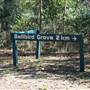 Bellbird Grove - D'Anguilar National Park