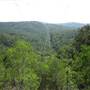 Bellbird Grove - D'Anguilar National Park
