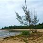 Cairns Region - Bramston Beach