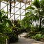 Mt Coot-tha Botanical Gardens