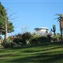 Mt Coot-tha Botanical Gardens