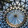 Mt Coot-tha Botanical Gardens