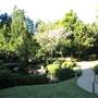 Mt Coot-tha Botanical Gardens