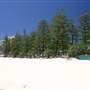 Burleigh Heads - Beach & Surf Club area