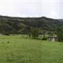 Cedar Glen Farmstay
