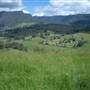Cedar Glen Farmstay