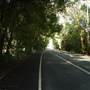 Currumbin Creek Road