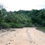 Garden Island