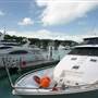 Hamilton Island Marina