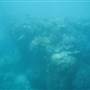 Hardy Reef