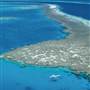 Hardy Reef