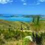 Whitsundays - Lindeman Island