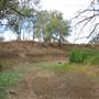 Longreach Landscape