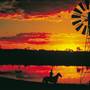 Longreach Landscape