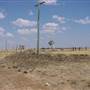 Longreach Landscape