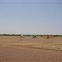 Longreach Township