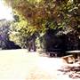 Mary Cairncross Scenic Reserve and Sanctuary