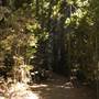 Mary Cairncross Scenic Reserve and Sanctuary