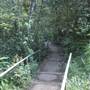 Millaa Millaa Falls